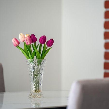 Apartment Gioia Rovigno Esterno foto